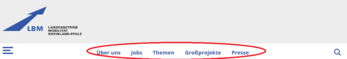 Ausschnitt Webseite Menüpunkte oben eingekreist