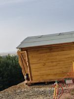 Bock liegt vor einer Holzhütte-
