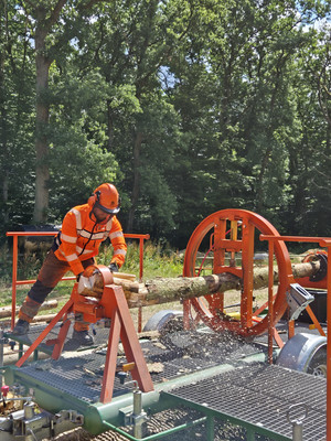 Ein Straßenwärter arbeitet mit einer Motorsäge am Baumbiegesimulator (orange). Im Hintergrund befindet sich ein Wald. 